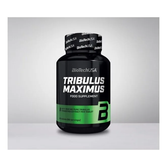tribulus_maximus.png